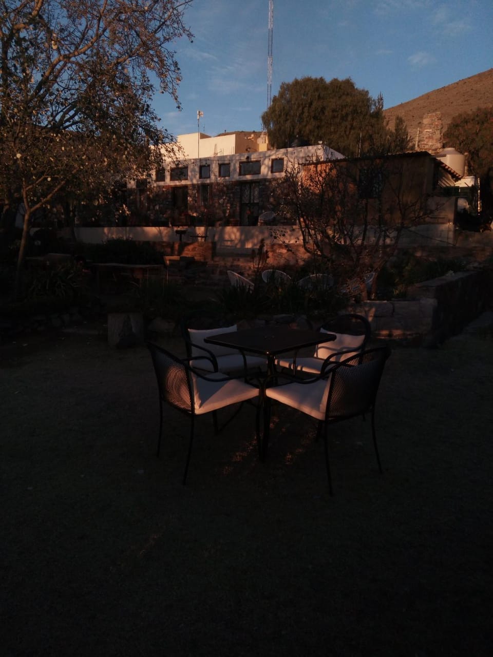 Garden view