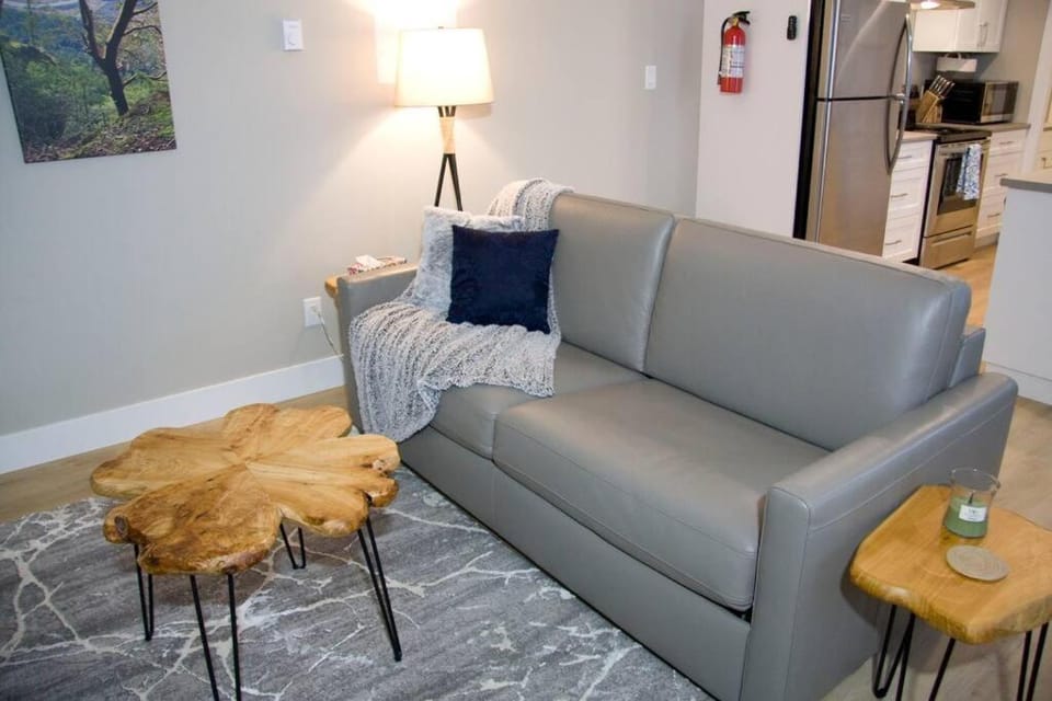 Kitchen or kitchenette, Living room, Seating area