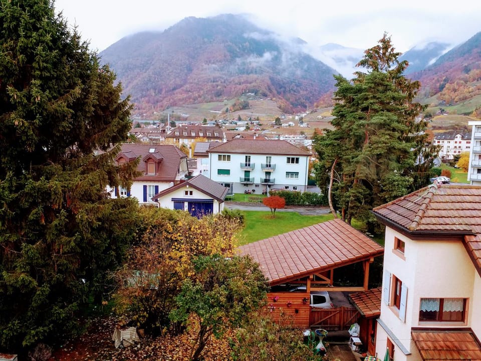 Mountain view