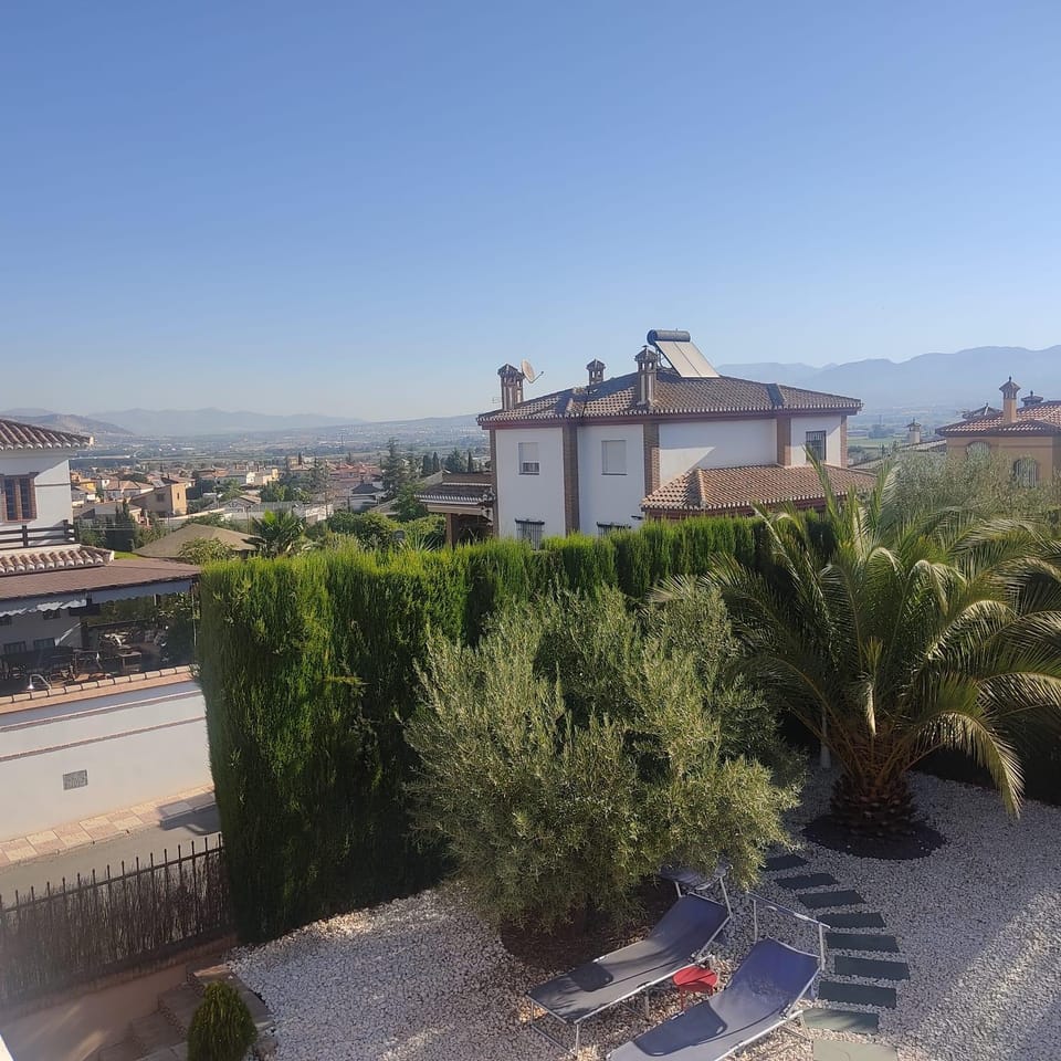 Garden, City view, Street view