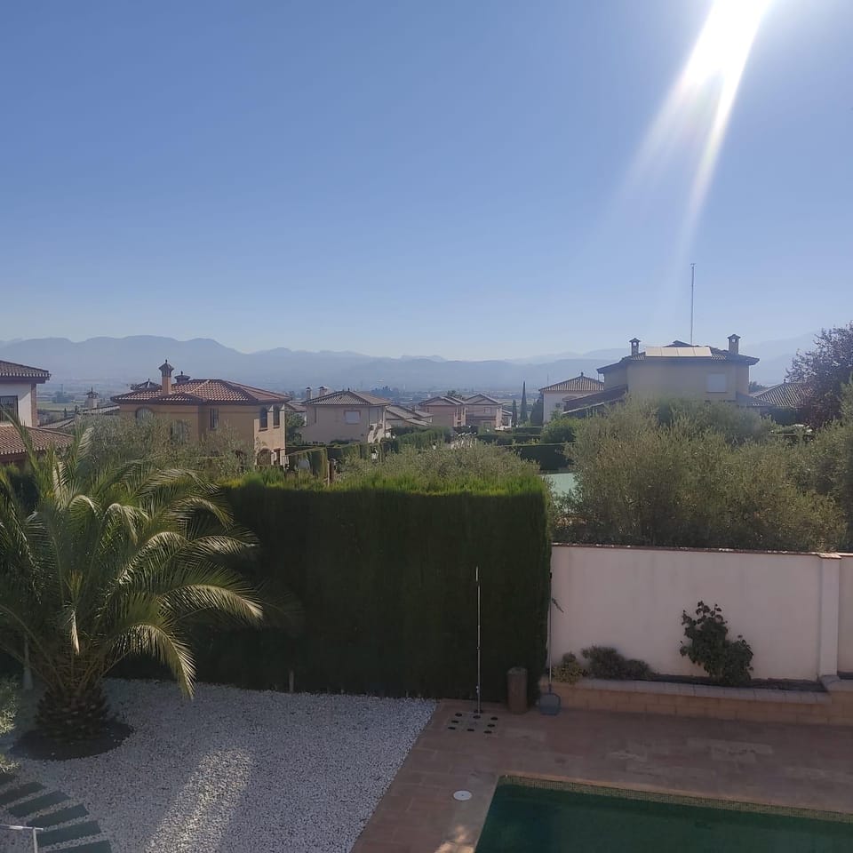 City view, Garden view