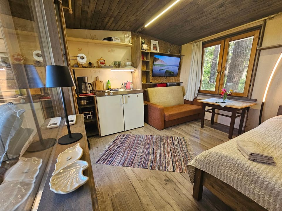 TV and multimedia, Kitchen or kitchenette, Dining area, Bedroom