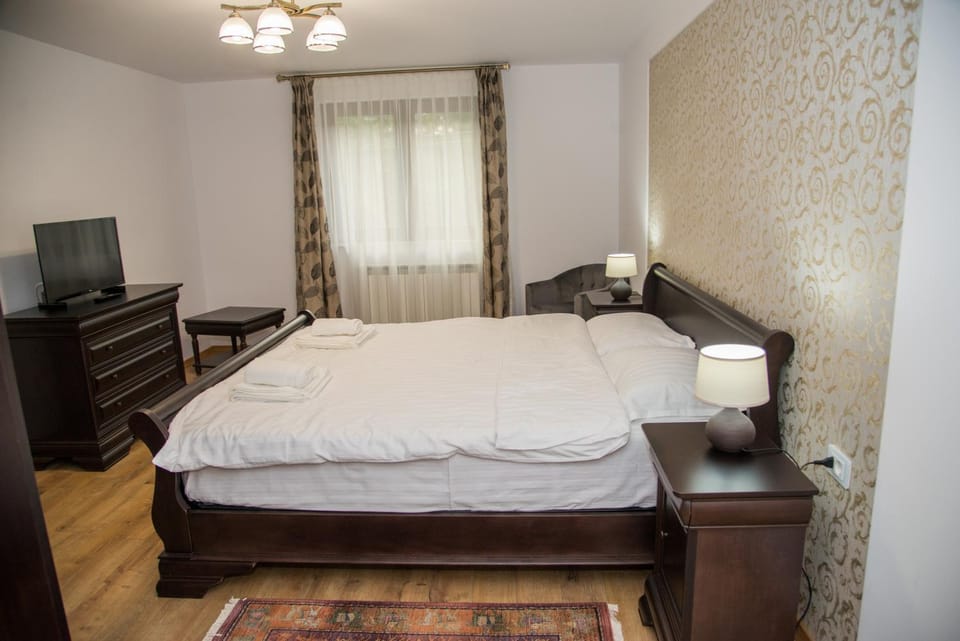 Poiana Transilvaniei Bed and Breakfast in Brașov County