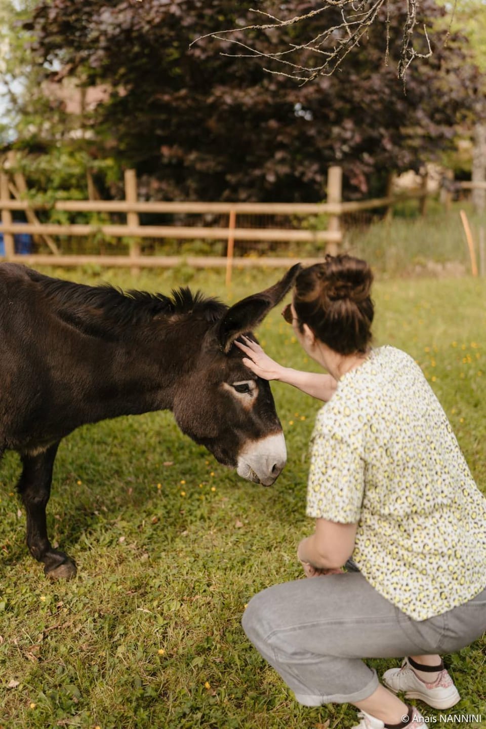 Les Chambres du parc Bed and Breakfast in Dole