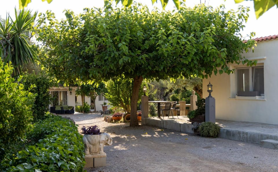 Property building, Garden