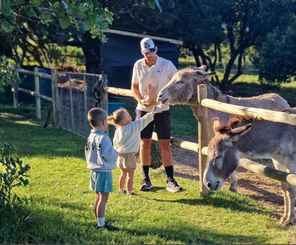 Animals