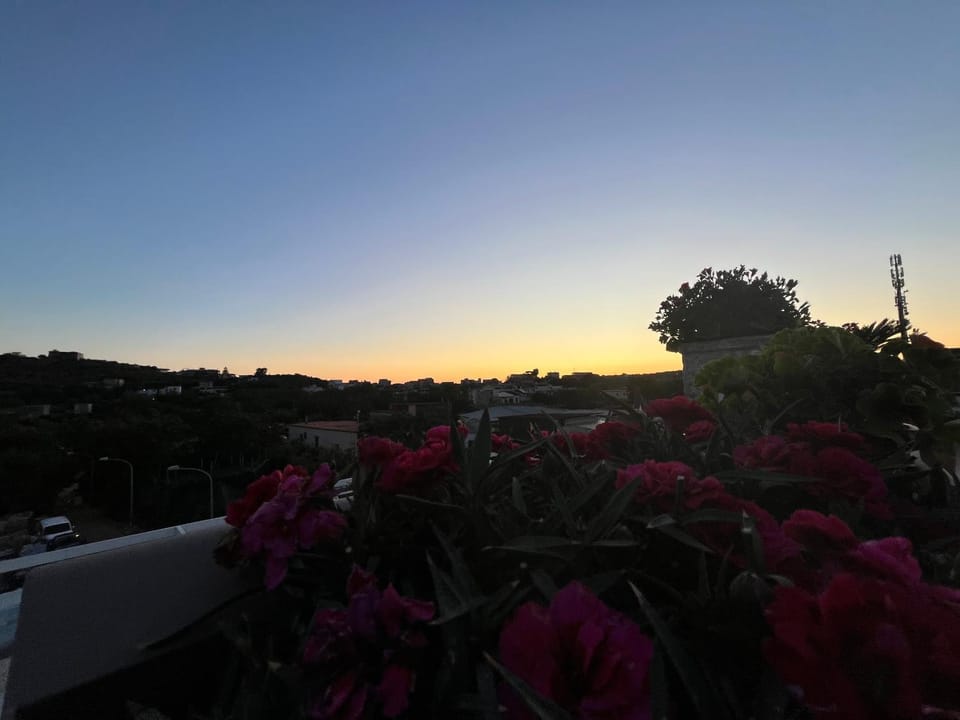 Natural landscape, Sunset