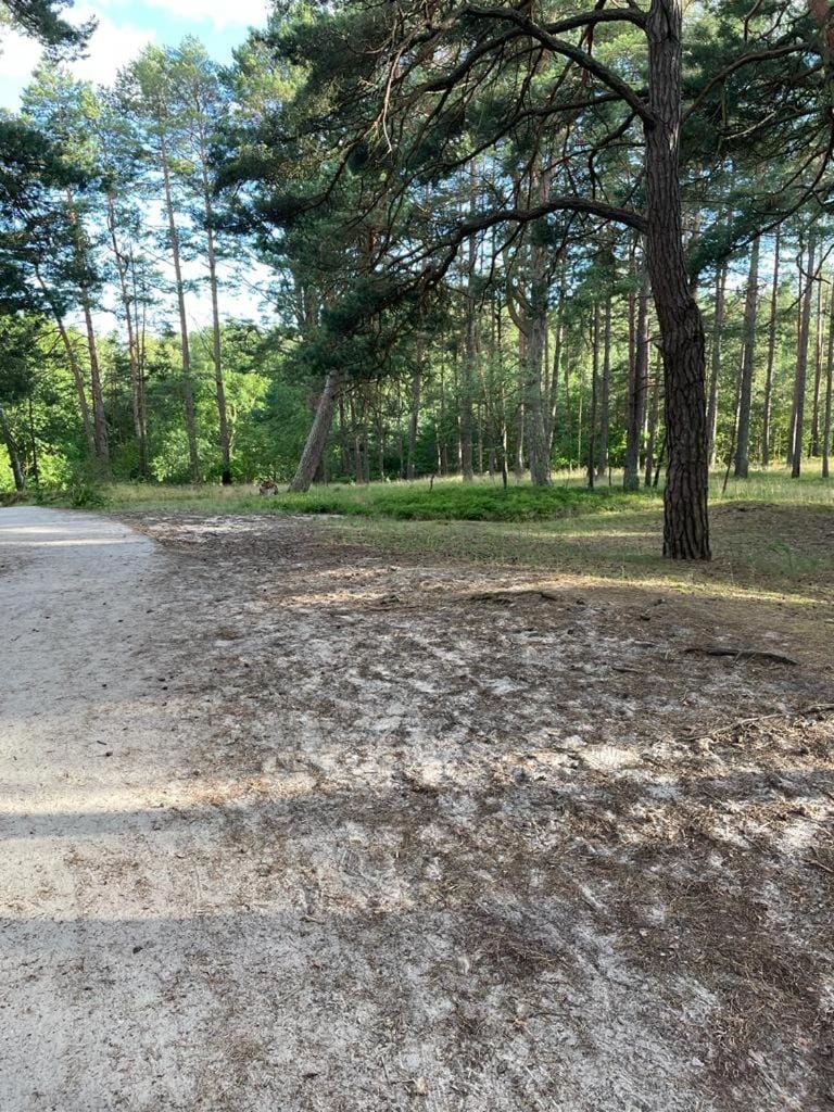 Apartament Jantar Osiedle Bursztynowe Jantar PROMOCJA Apartment in Pomeranian Voivodeship