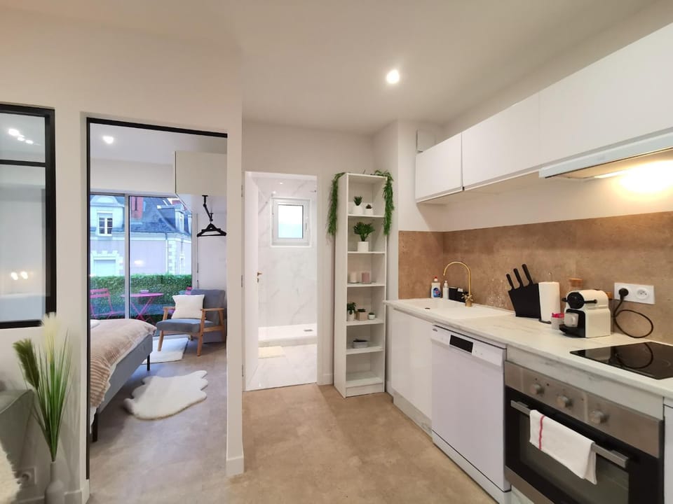 Coffee/tea facilities, Kitchen or kitchenette, oven, stove