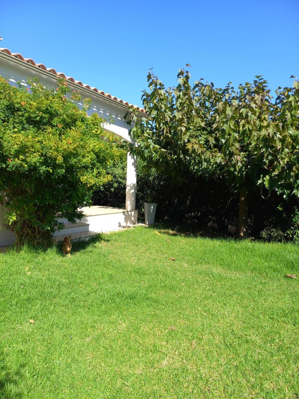 afa butrone sarrola Apartment in Corsica