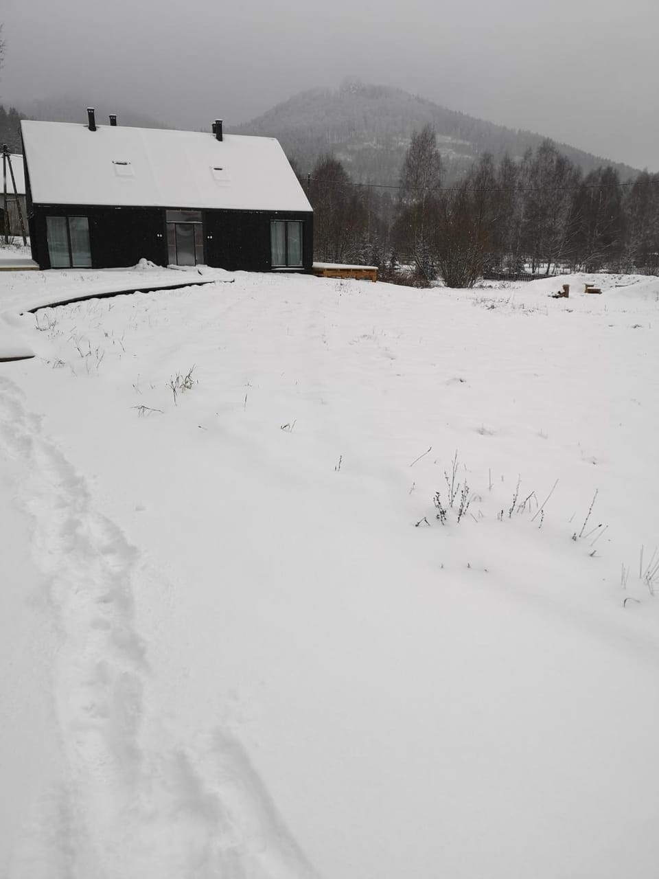 Winter