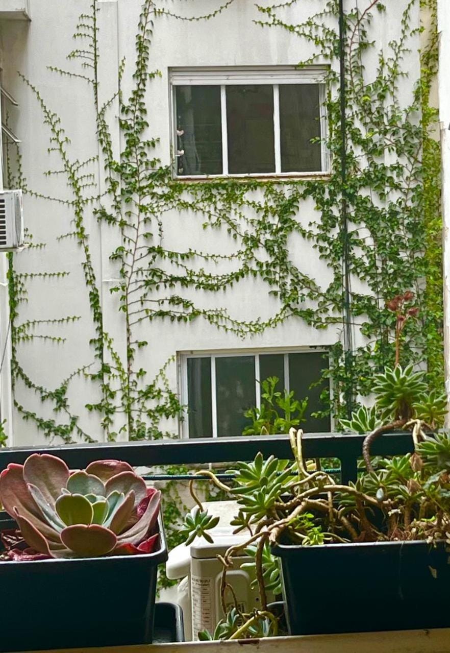 Amplio, luminoso y zen Recoleta Tessa Appartment Apartment in Buenos Aires