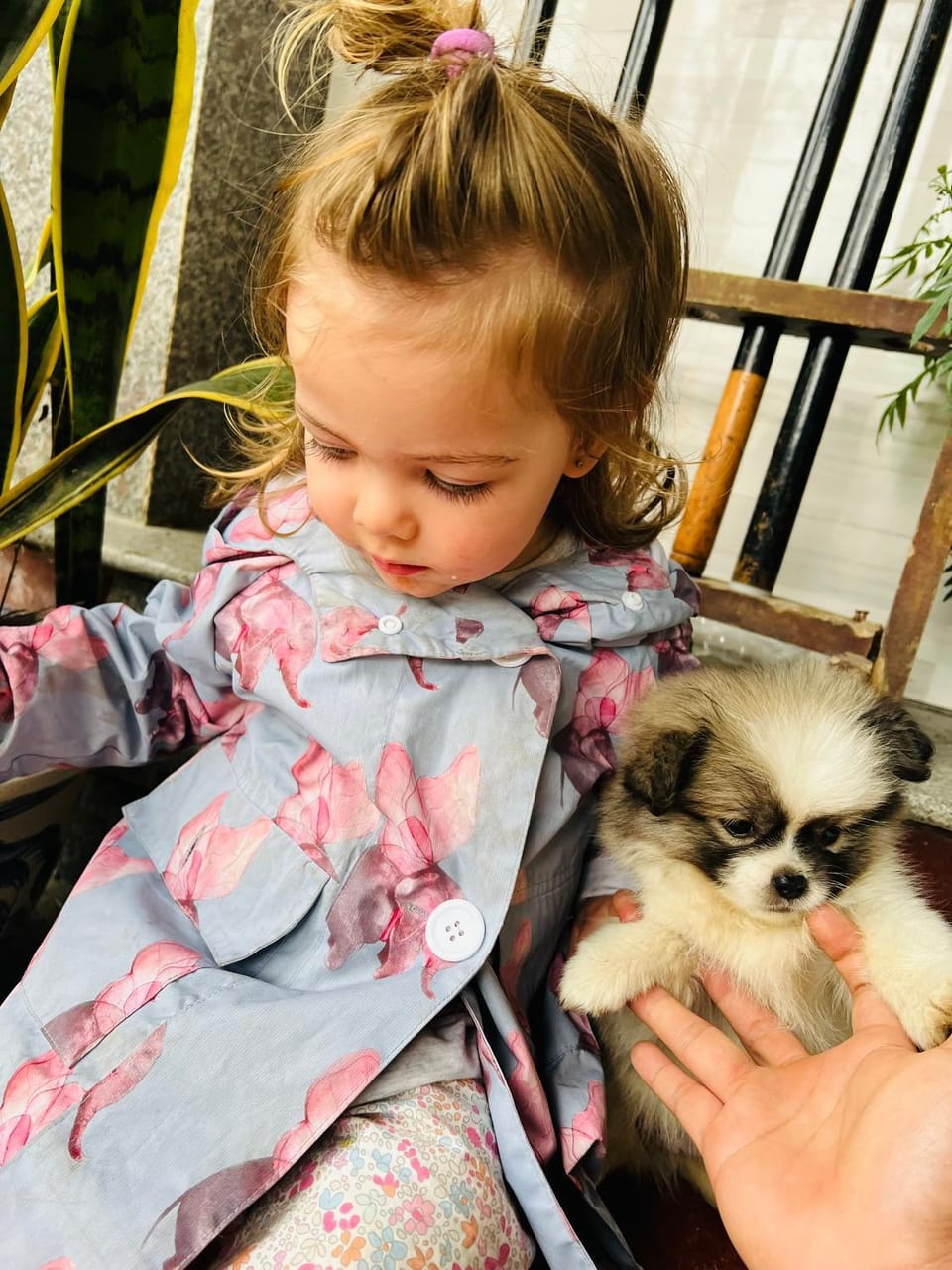 Pets, children, group of guests