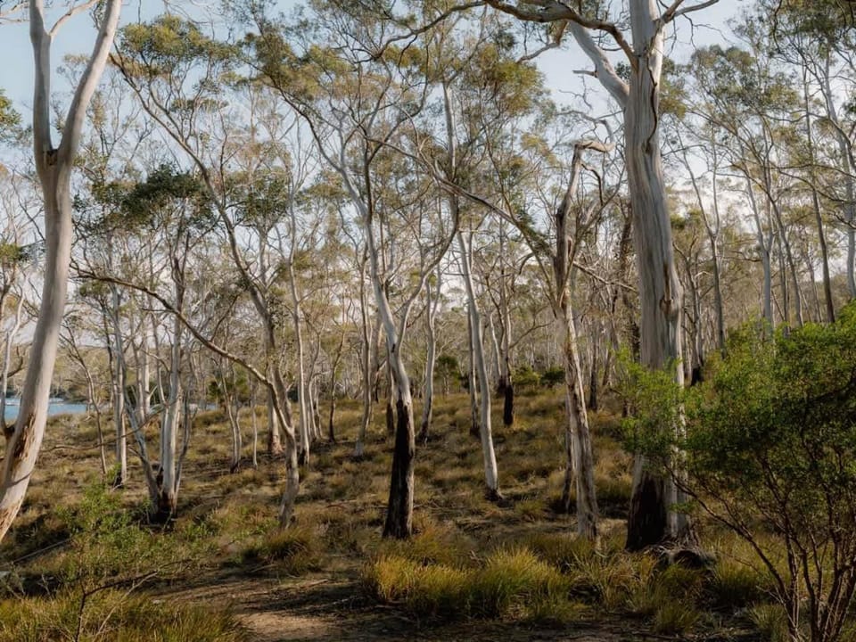 Natural landscape