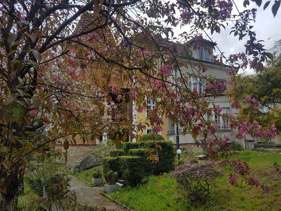 Willa Marysin Bed and Breakfast in Lesser Poland Voivodeship