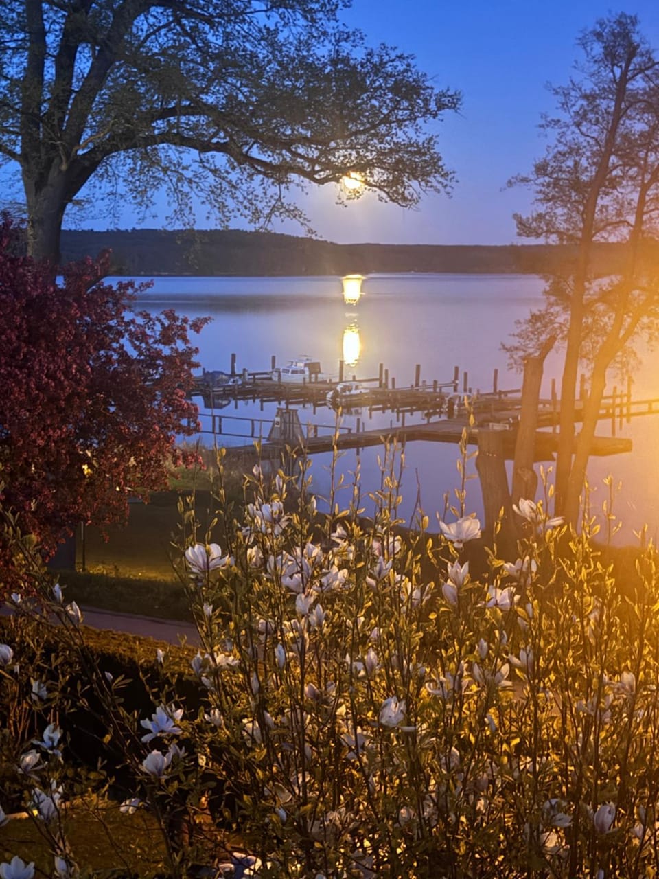 Fewo in Villa mit Seeblick Apartment in Plau am See