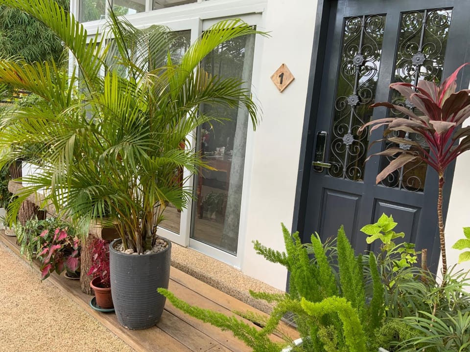 Property building, Day, Garden, Garden view