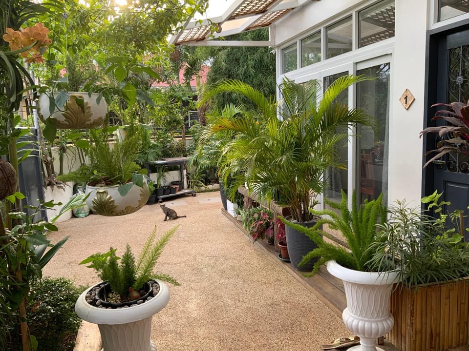 Day, Garden, Garden view