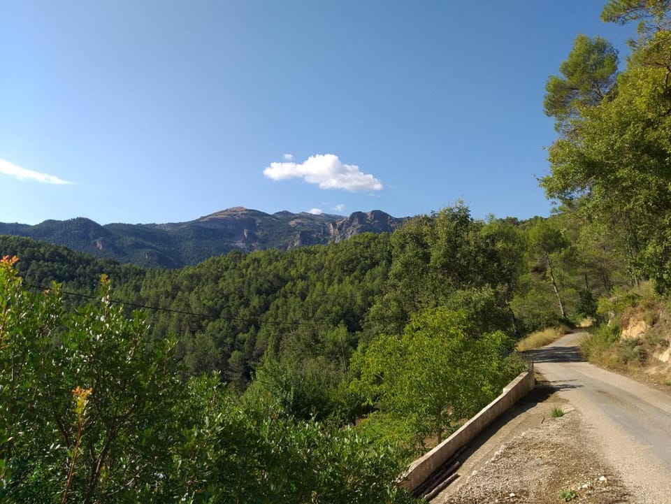 Mountain view