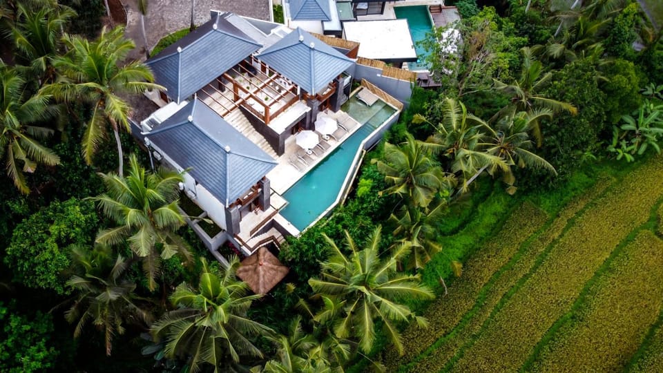 Property building, Bird's eye view, internet