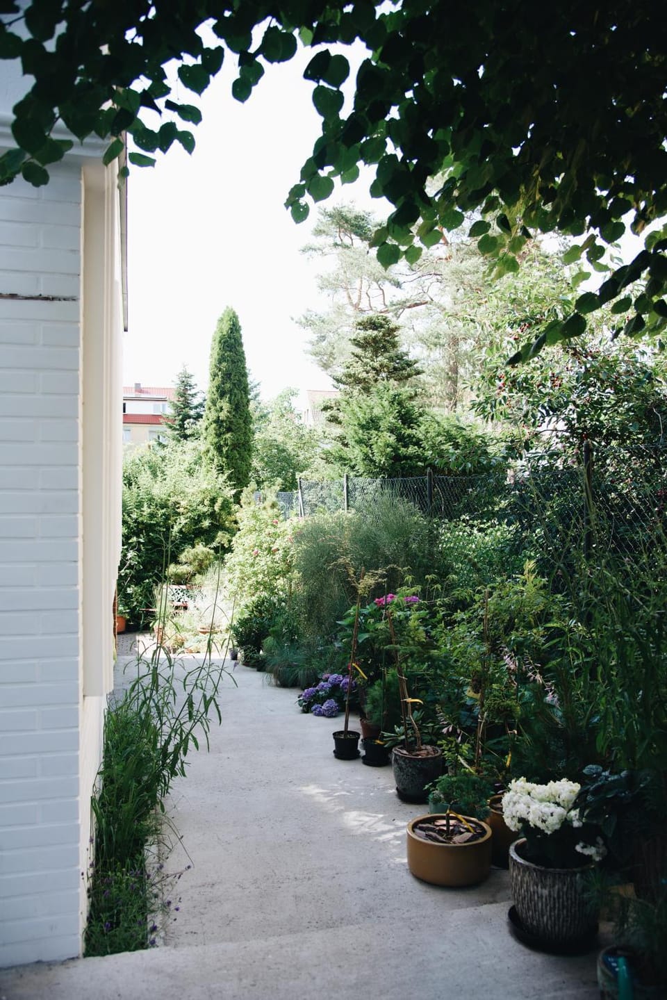 Property building, Garden, Garden