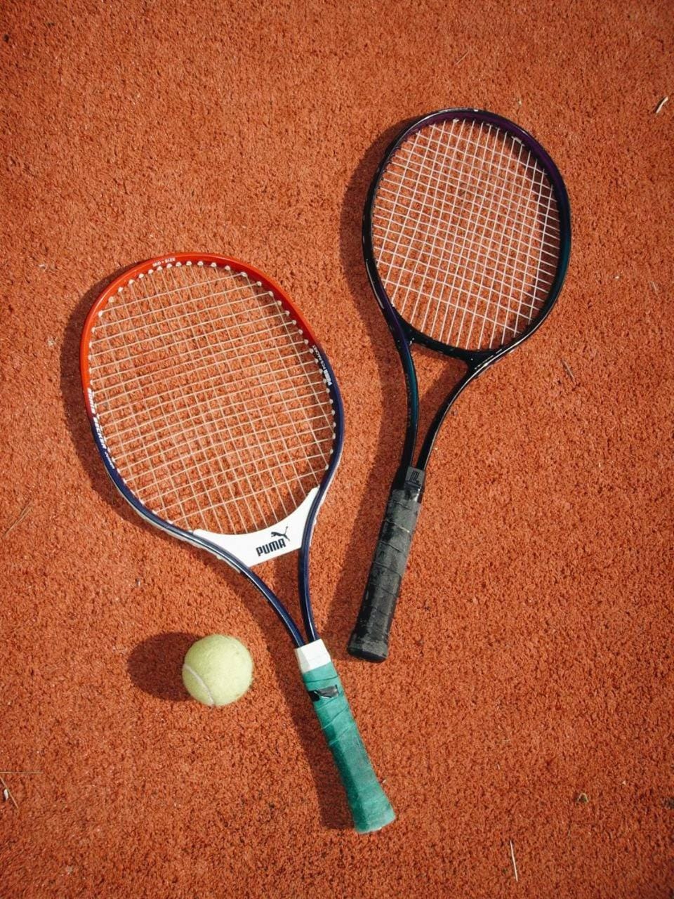 Property building, Garden, Tennis court, Sports