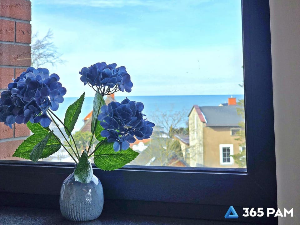 Day, Natural landscape, Sea view