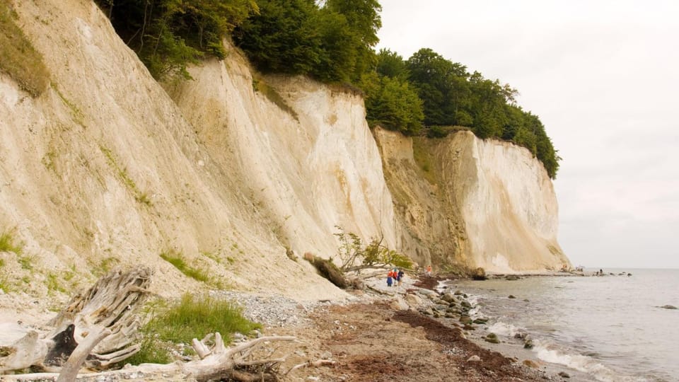 Natural landscape