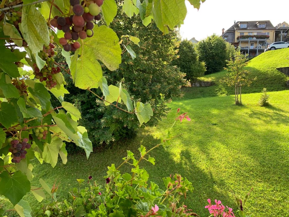 Allegra Appenzell Apartment in Appenzell Innerrhoden, Switzerland