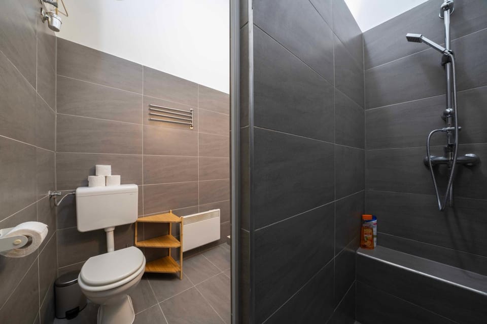 Shower, Toilet, Bathroom, towels