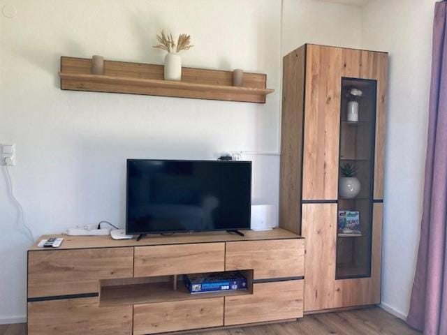 TV and multimedia