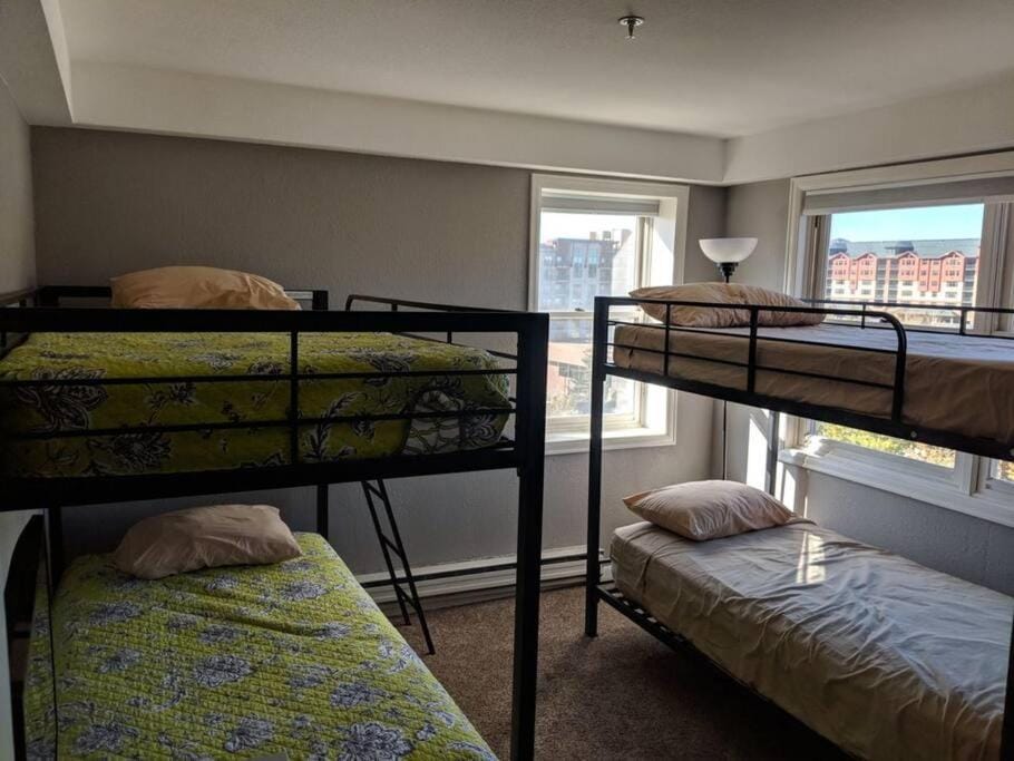 True Ski-in Ski-Out Luxury 3bd with huge views Apartment in Steamboat Springs
