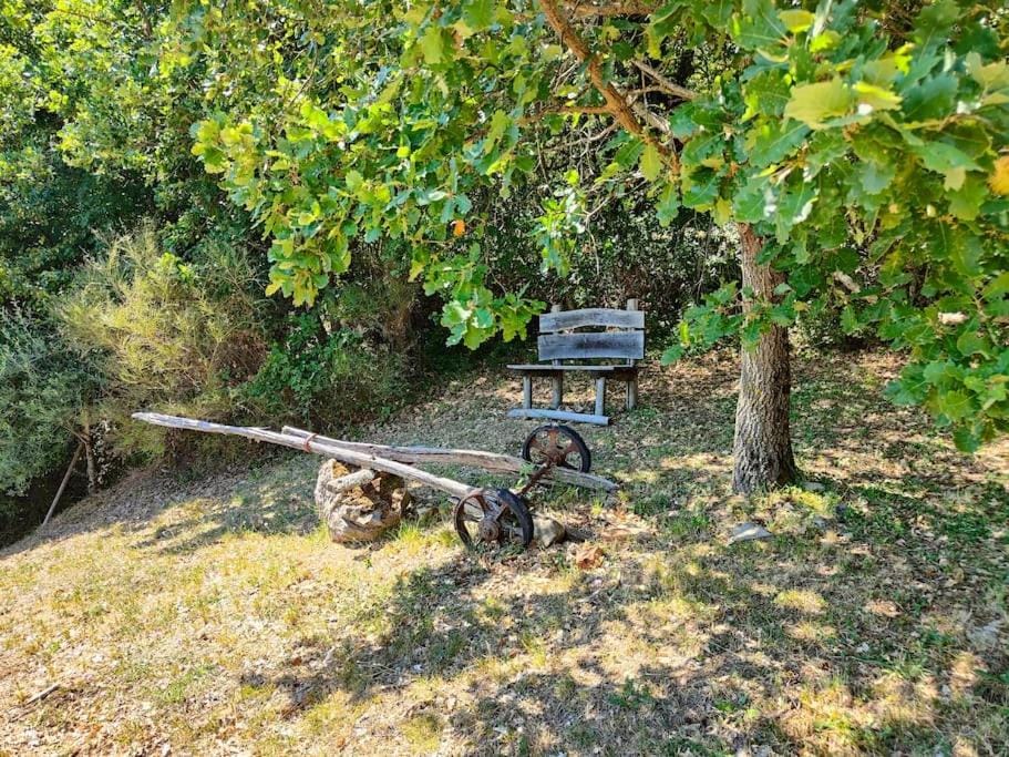 CASA CAROLE - Lake View Villa Villa in Tuscany