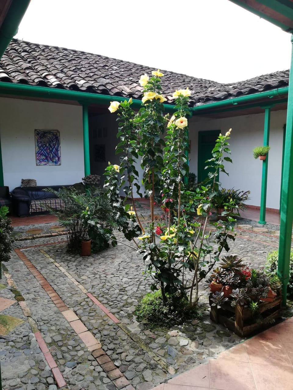 Patio, Garden, Garden