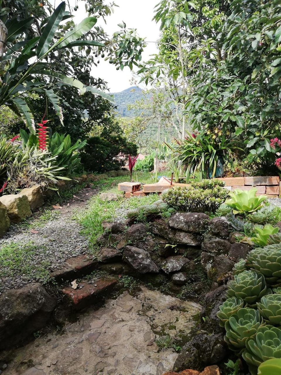 Off site, Garden