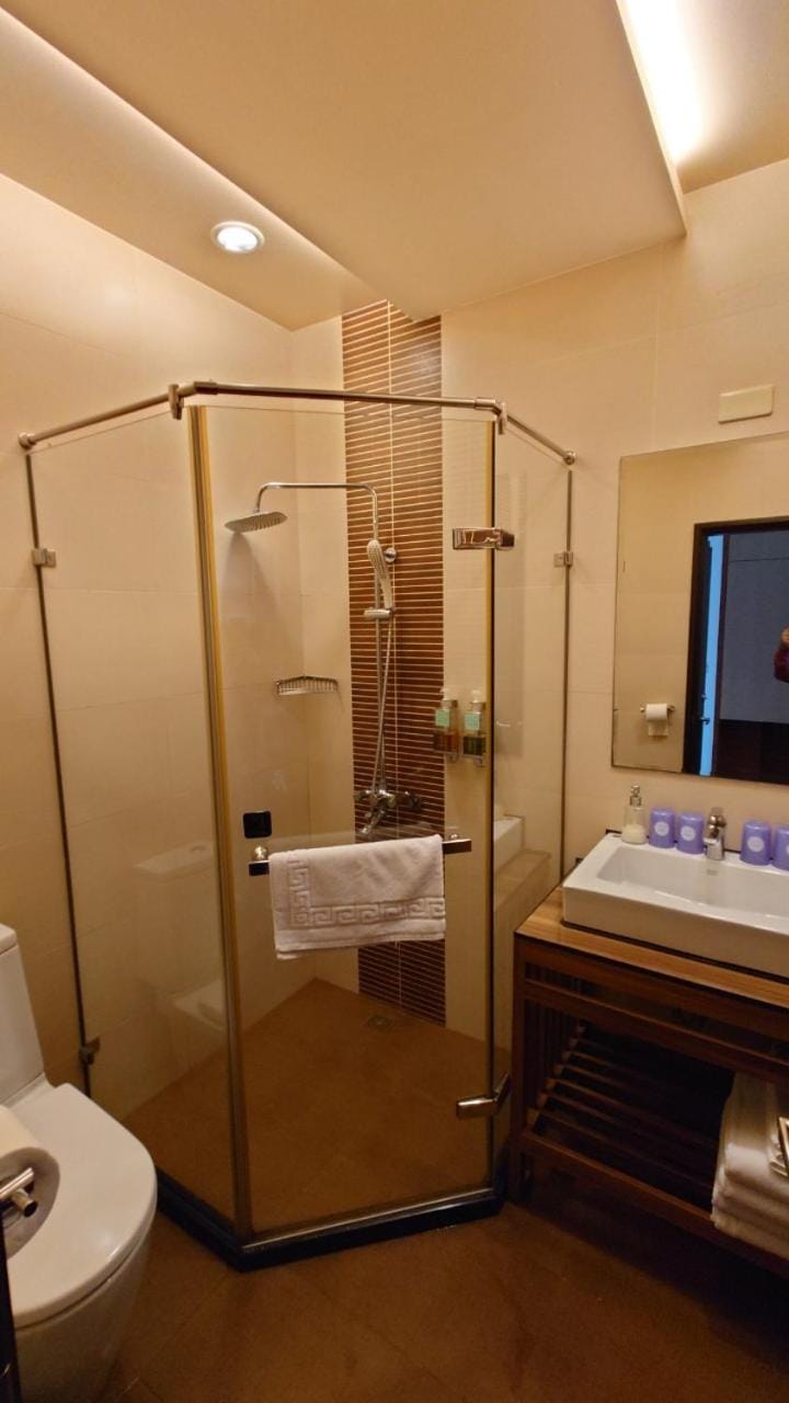 Shower, Toilet, Bathroom, towels