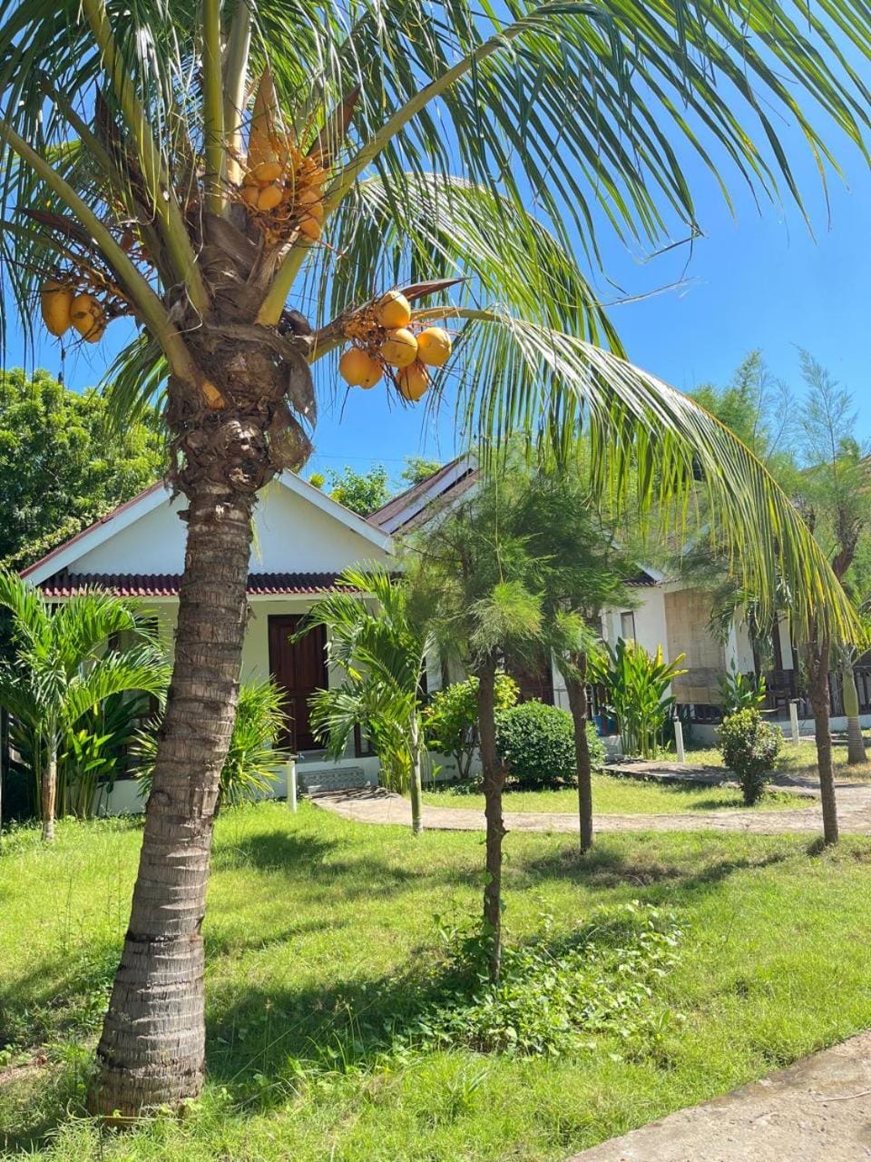 parida bungalow Bed and Breakfast in Pemenang