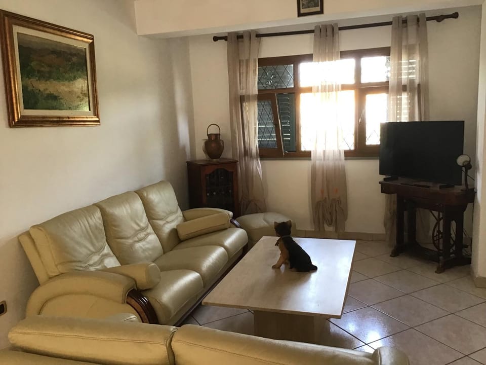 Communal lounge/ TV room, Living room, Seating area