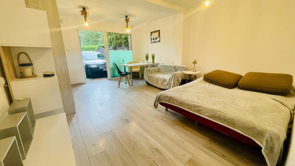Living room, Photo of the whole room