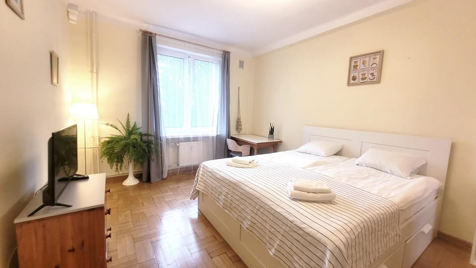Bed, TV and multimedia, Photo of the whole room, Bedroom, towels
