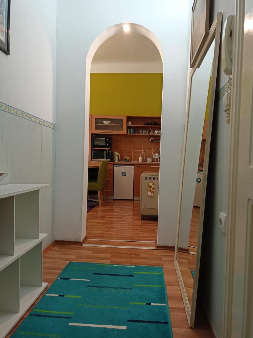 Evergreen Apartment in Belgrade