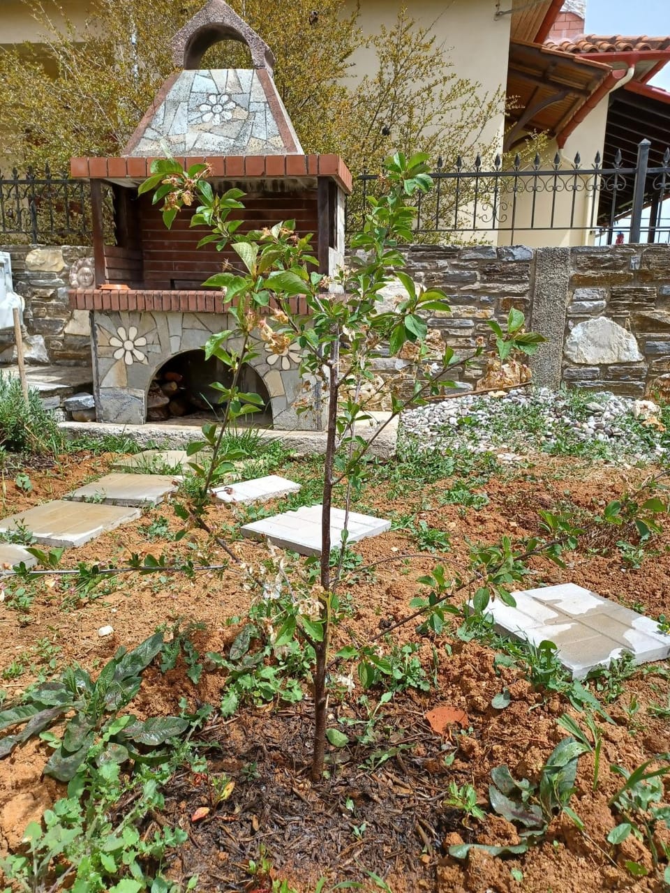 BBQ facilities, Garden