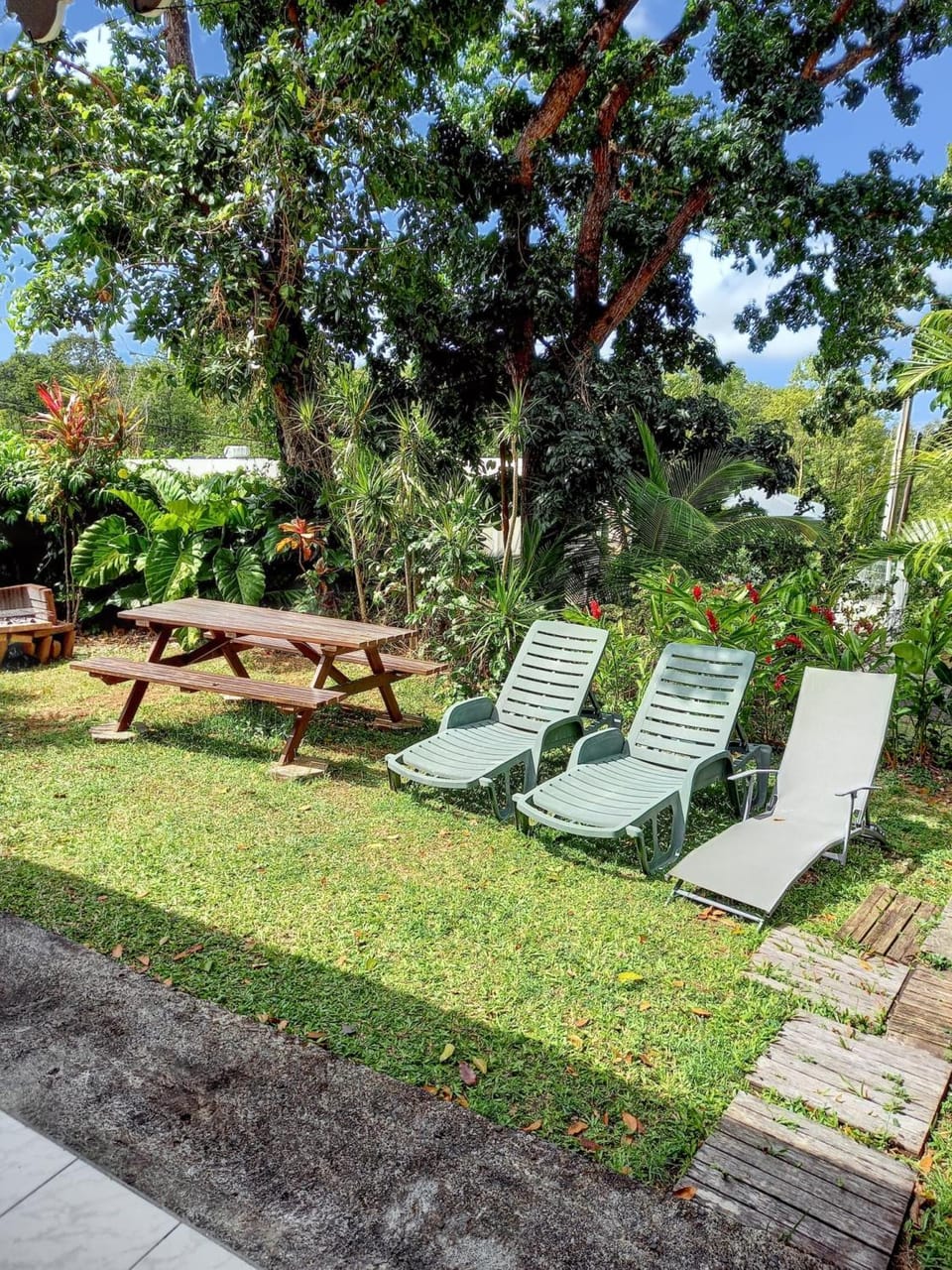 Garden view