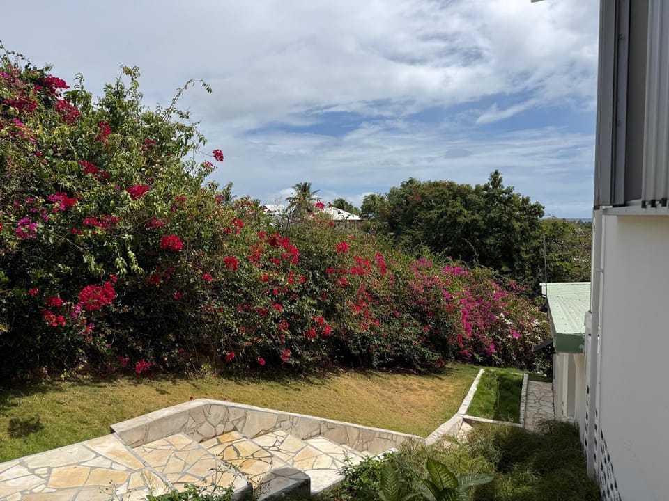 Property building, Garden