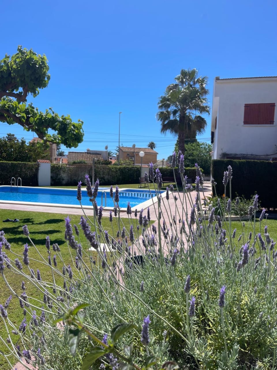 Las tres palmeras Apartment in Vinaròs