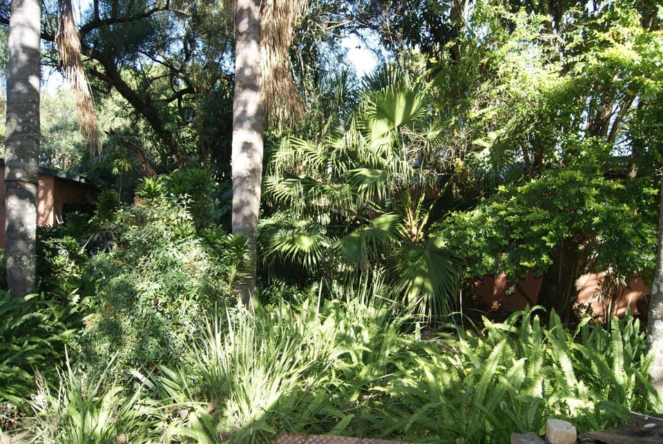 Fern Cottage Bed and Breakfast in South Africa