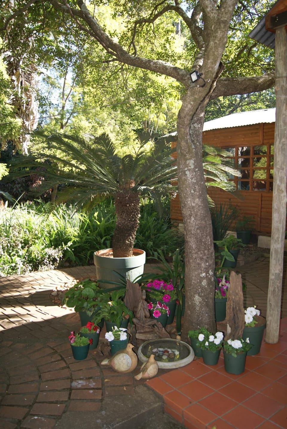 Fern Cottage Bed and Breakfast in South Africa