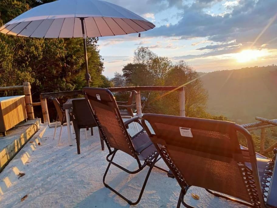 glamping & Eco-Cabaña Salento Hakunamatata Pumba Luxury tent in Quindio, Colombia