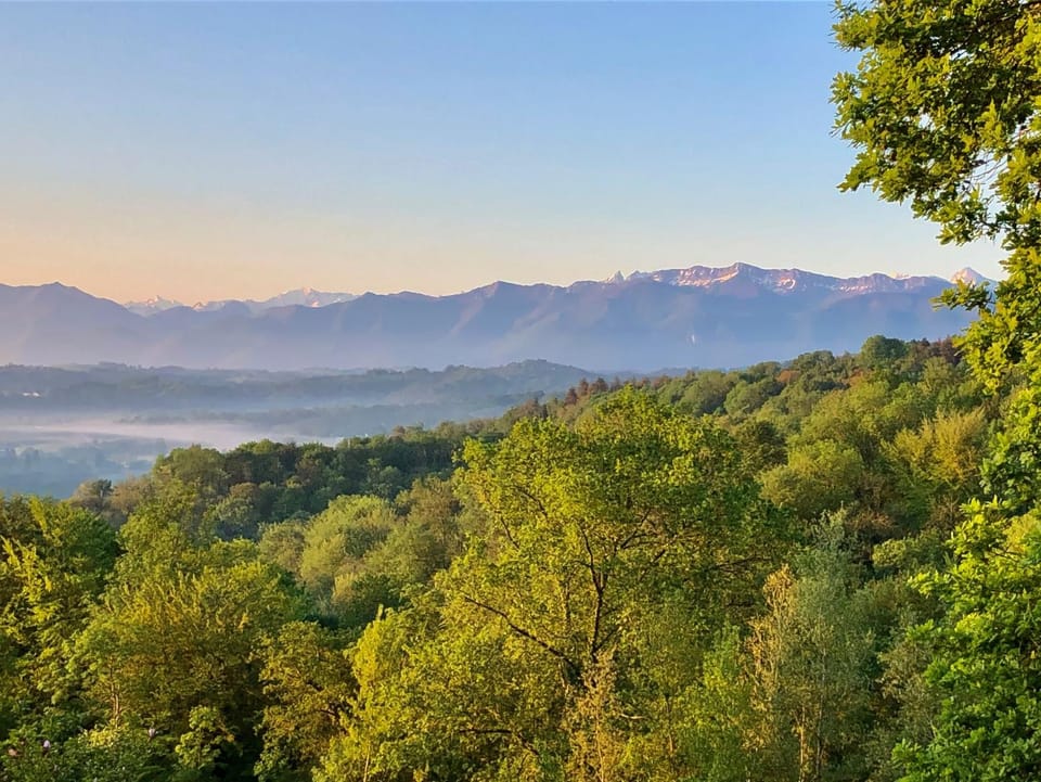 Mountain view