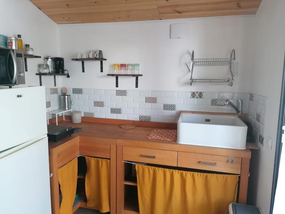 Kitchen or kitchenette, kitchen